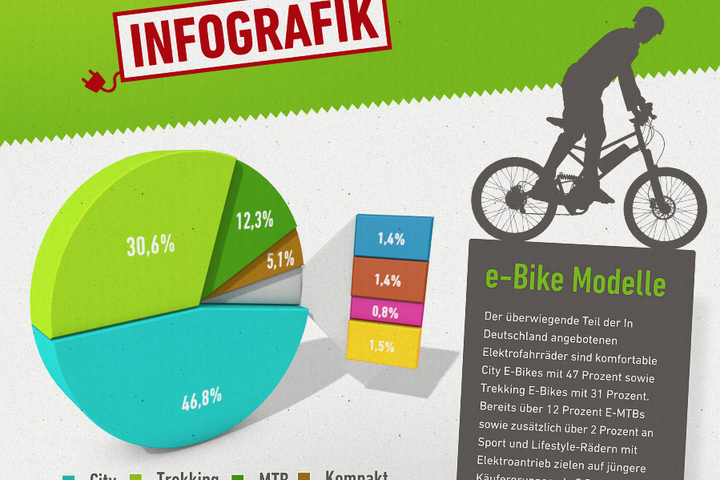Die komplette Infografik kostenlos auf www.ebike-studie.de